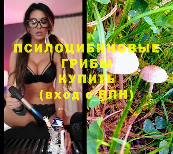 бутират Армянск